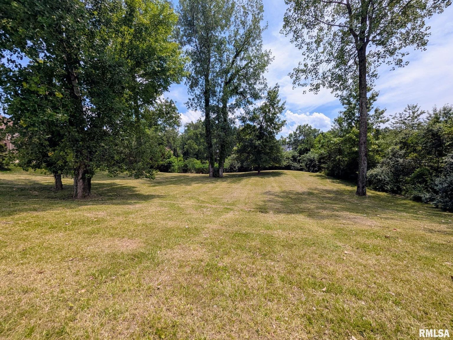 69 David Livingstone Dr Carterville, IL 62918 - Thumbnail 4