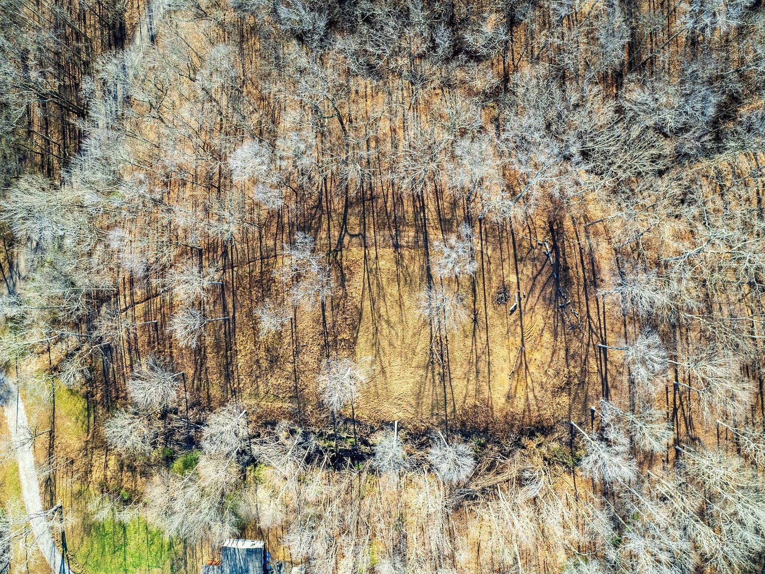 164 Lewis Cir Dover, TN 37058 - Thumbnail 4