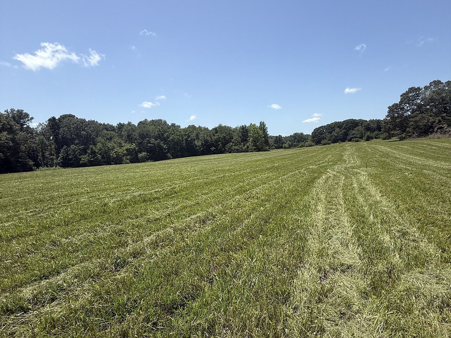 3 Pace Rd Clarksville, TN 37043 - Thumbnail 4