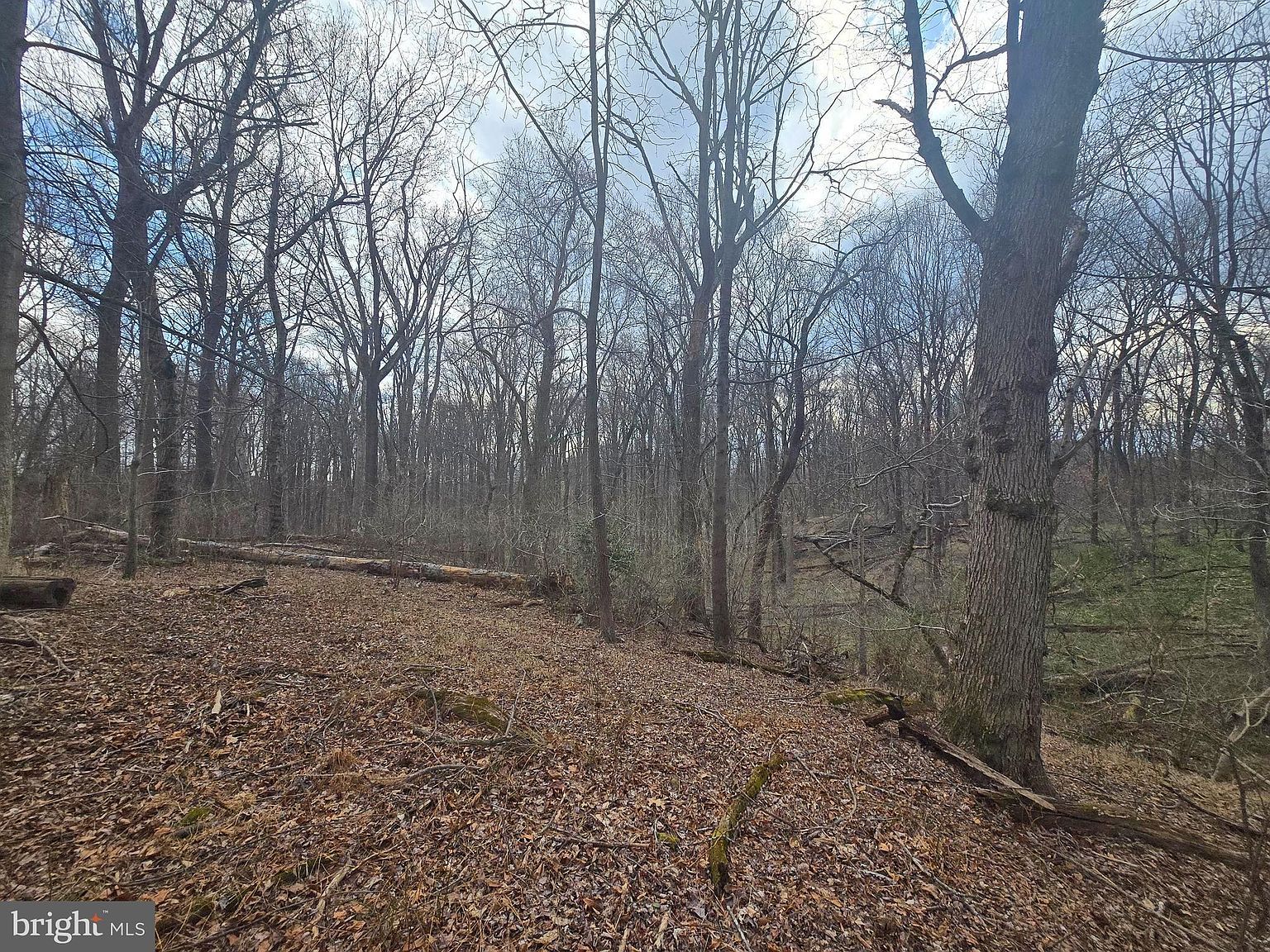 1160 Day Rd Sykesville, MD 21784 - Thumbnail 4