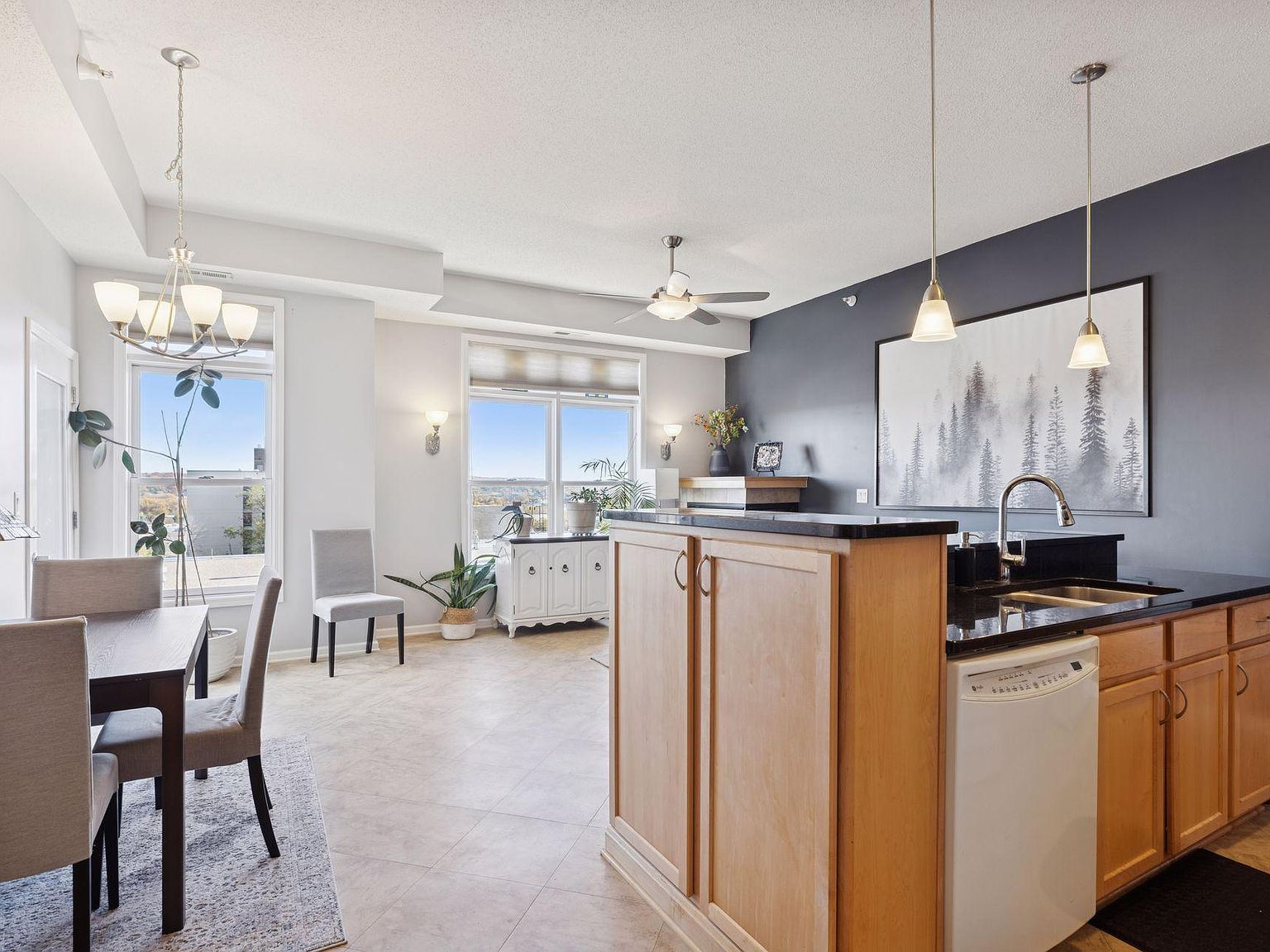 100 4th Ave N UNIT 308 South Saint Paul, MN 55075 - Thumbnail 4