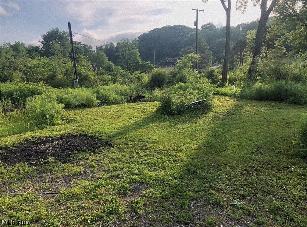 909 Lisbon Rd Leetonia, OH 44431 - Thumbnail 4