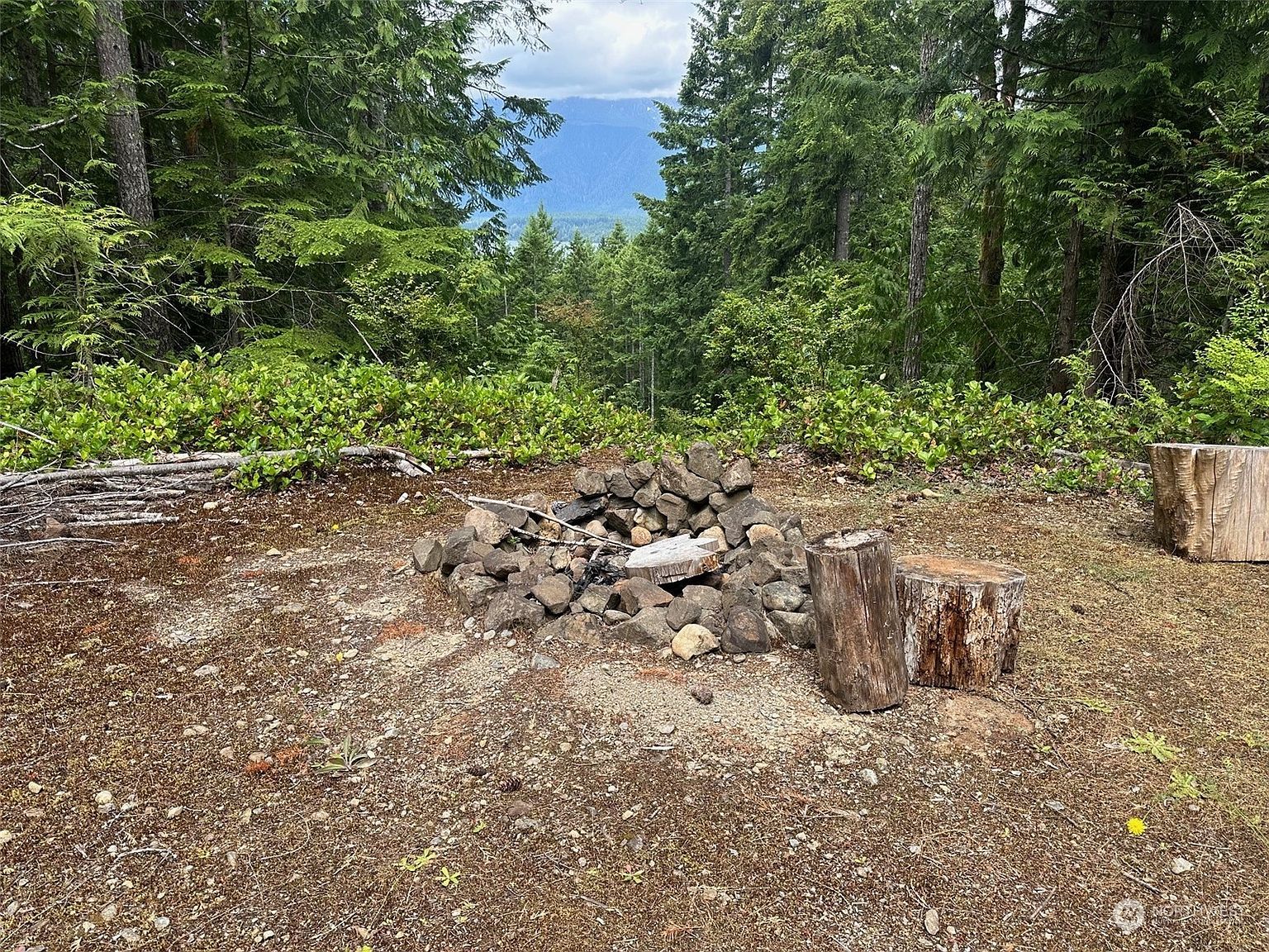 5154 N Lake Cushman Rd Hoodsport, WA 98548 - Thumbnail 4