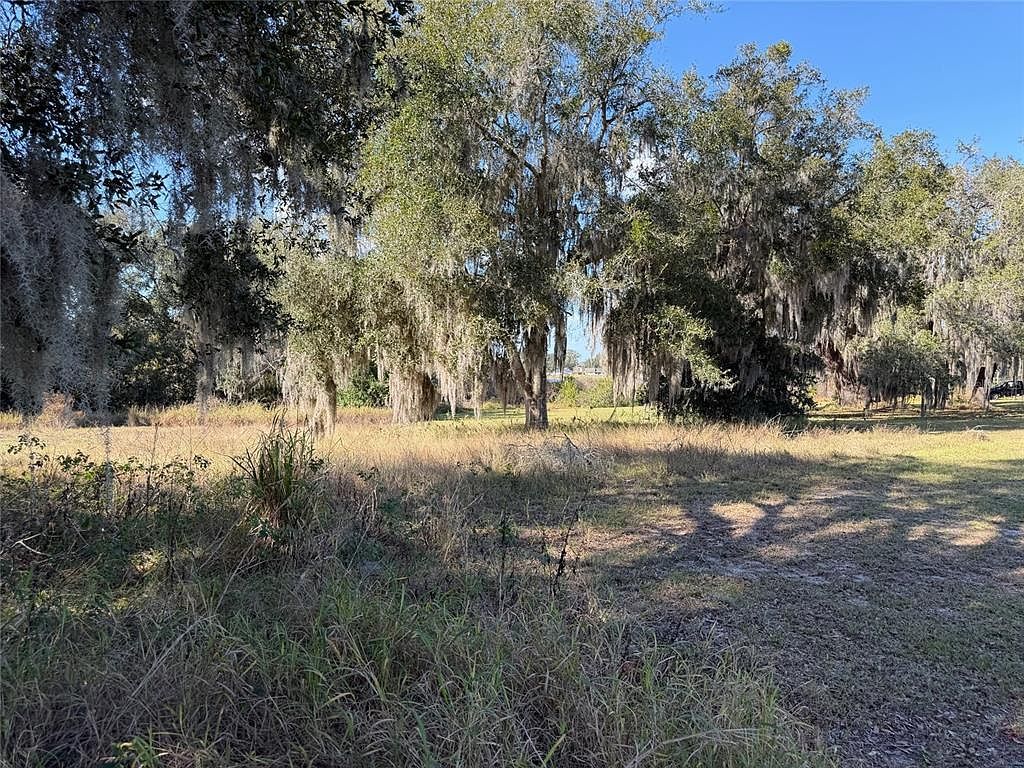 E Mohawk St Mascotte, FL 34753  | Land/Lot