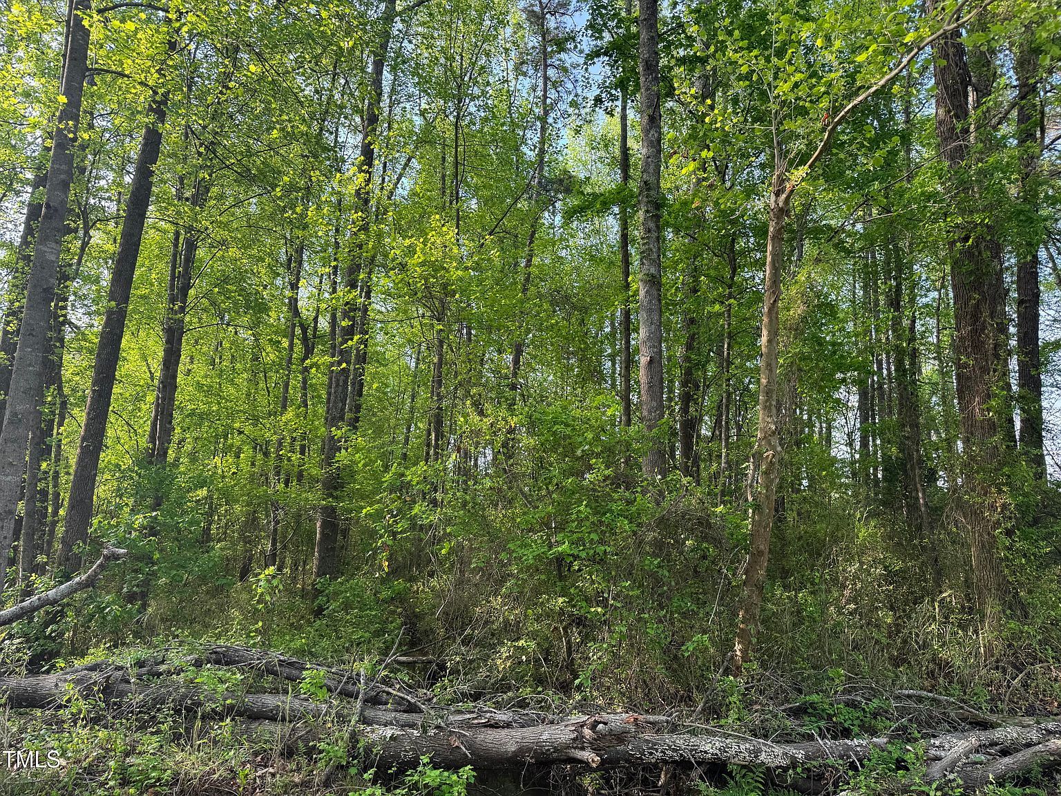 LOT 1 Mitchell Rd LOT 1 Lillington, NC 27546 | Land/Lot