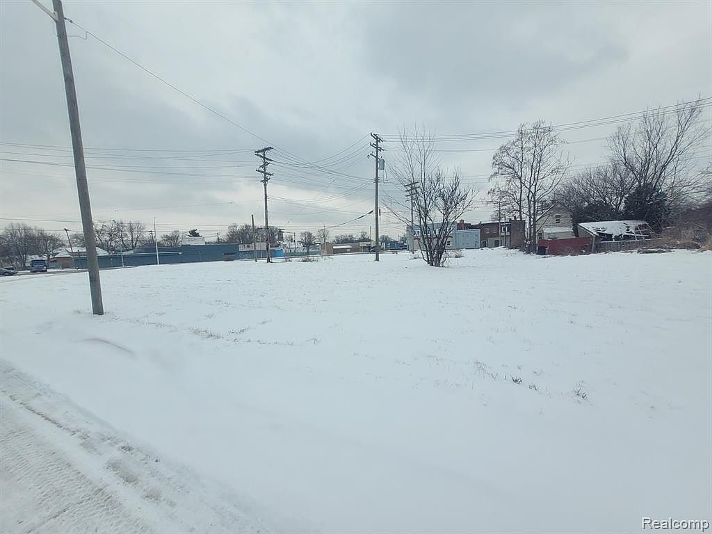 3643 30th St Detroit, MI 48210 - Thumbnail 4