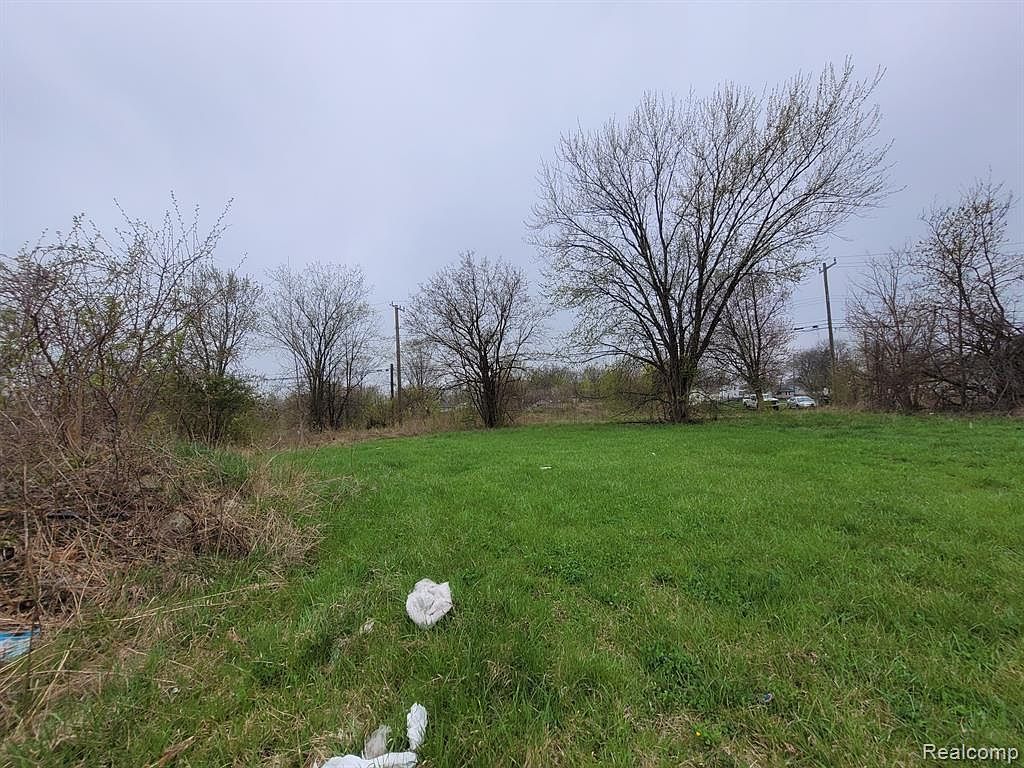 3927 Beaconsfield St Detroit, MI 48224 - Thumbnail 4