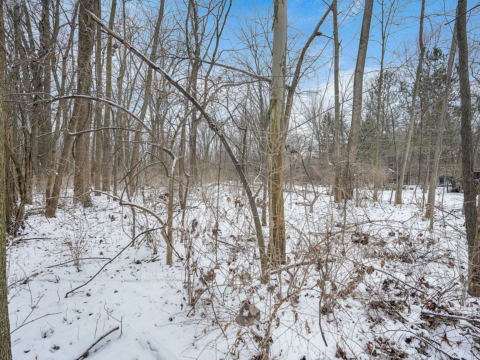 Moravian Dr Clinton Township, MI 48036 - Thumbnail 4