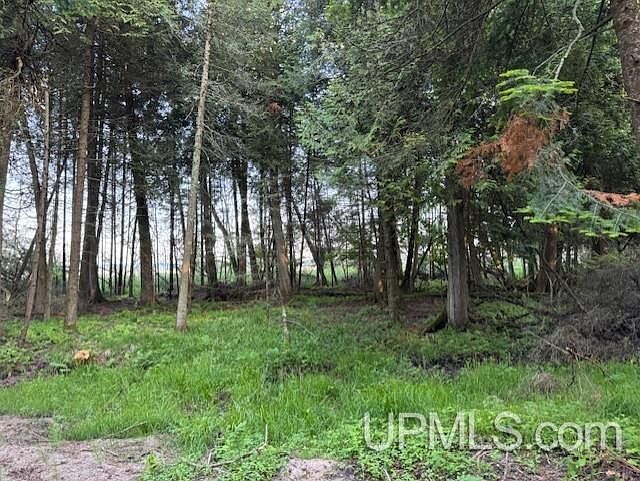 Tbd Juniper Aa Ln Rapid River, MI 49878 - Thumbnail 4