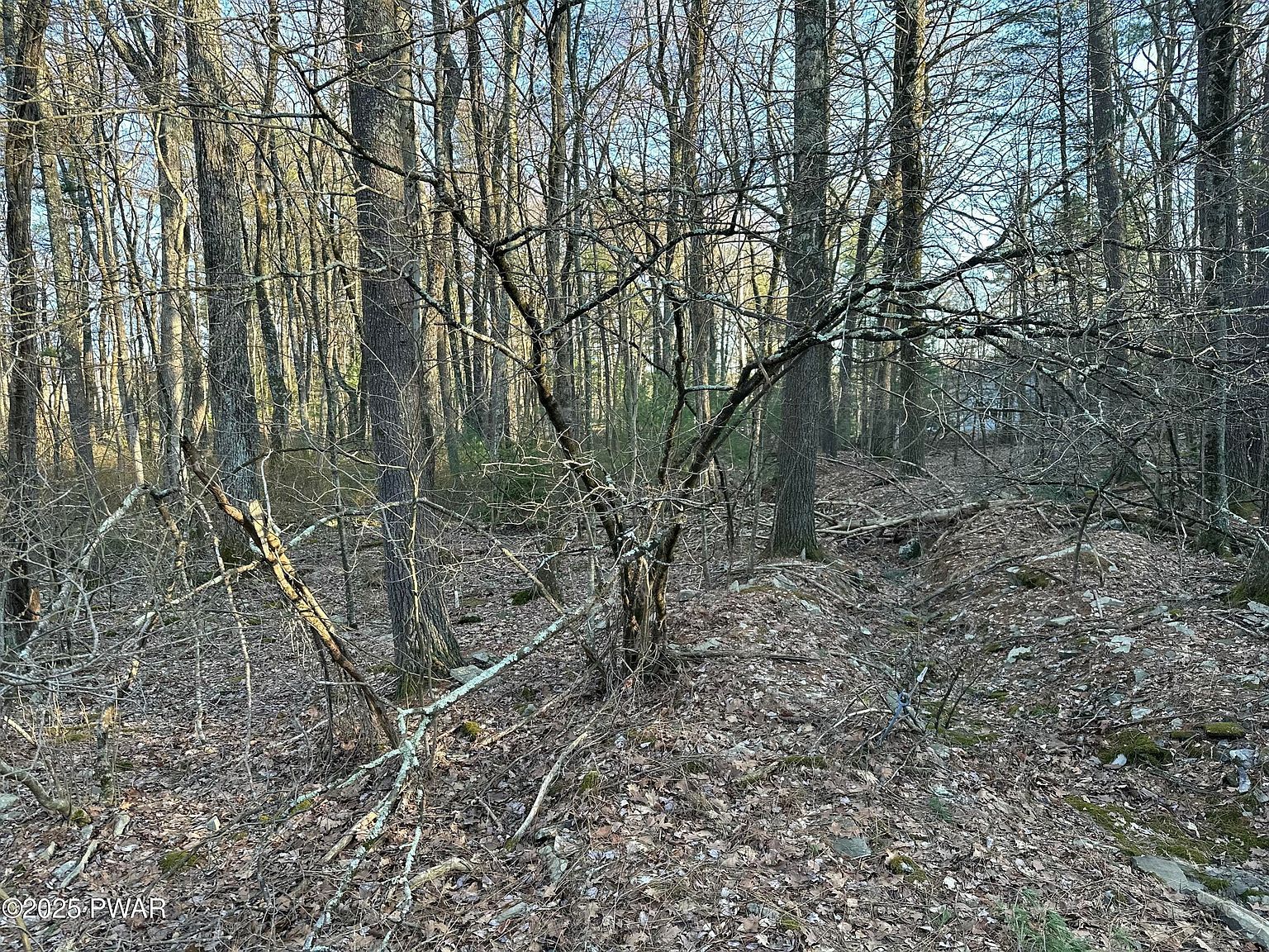 LOT 1537 Sequoia Ln Milford, PA 18337 - Thumbnail 4