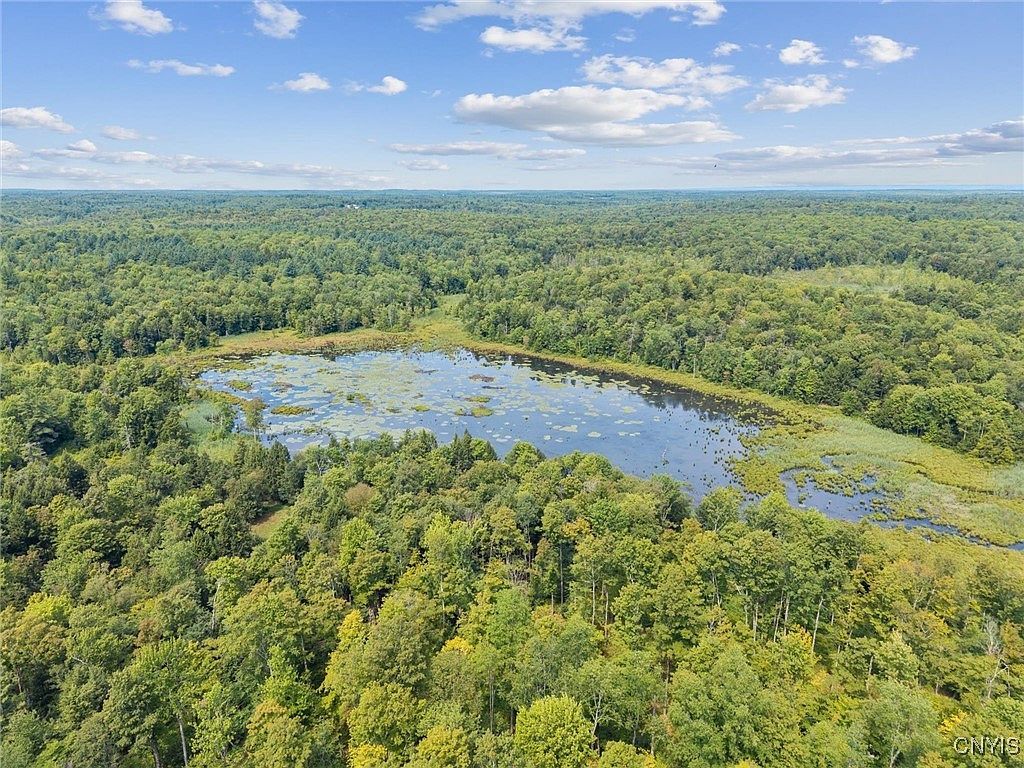 Land County Rte #11 West Monroe, NY 13167 - Thumbnail 4