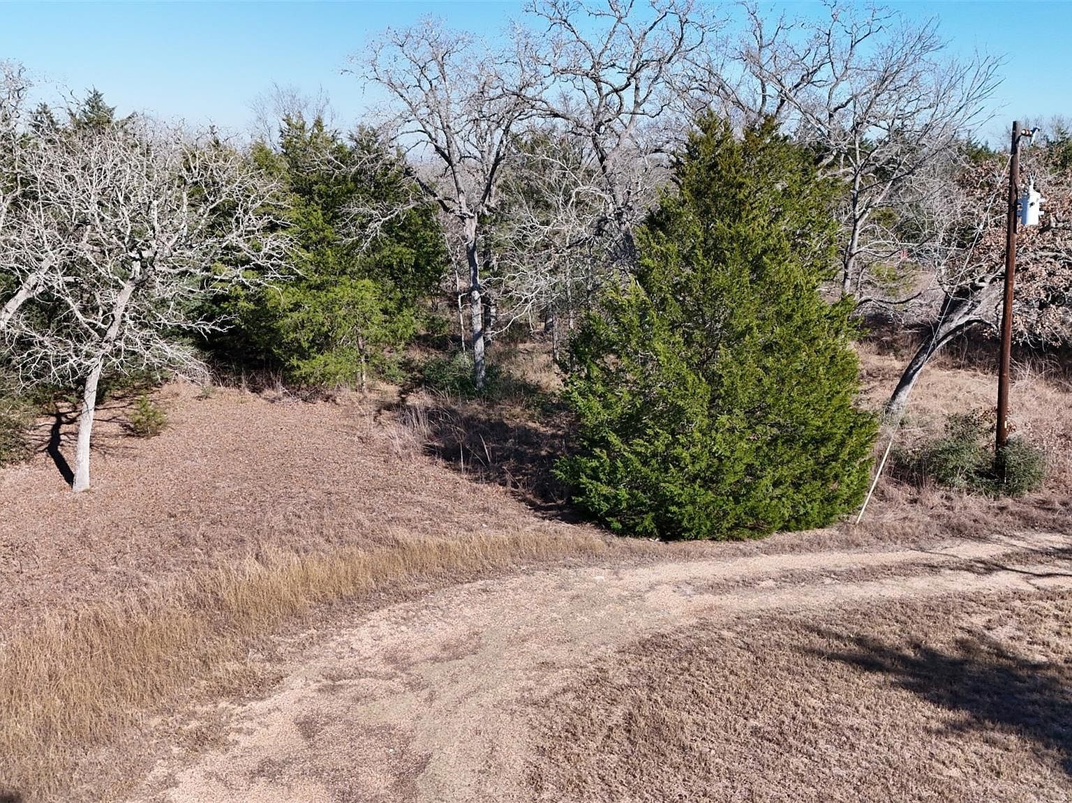 110 Poplar Ln Lot 25 Somerville, TX 77879 - Thumbnail 4