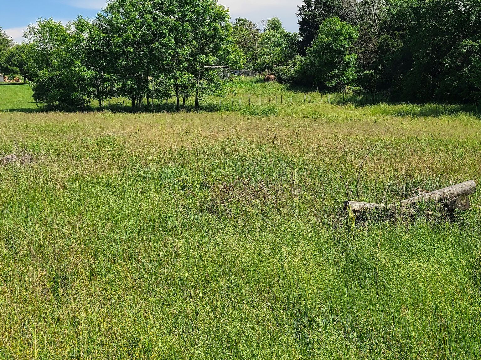 Keith Donaldson Rd Freetown, IN 47235 - Thumbnail 4