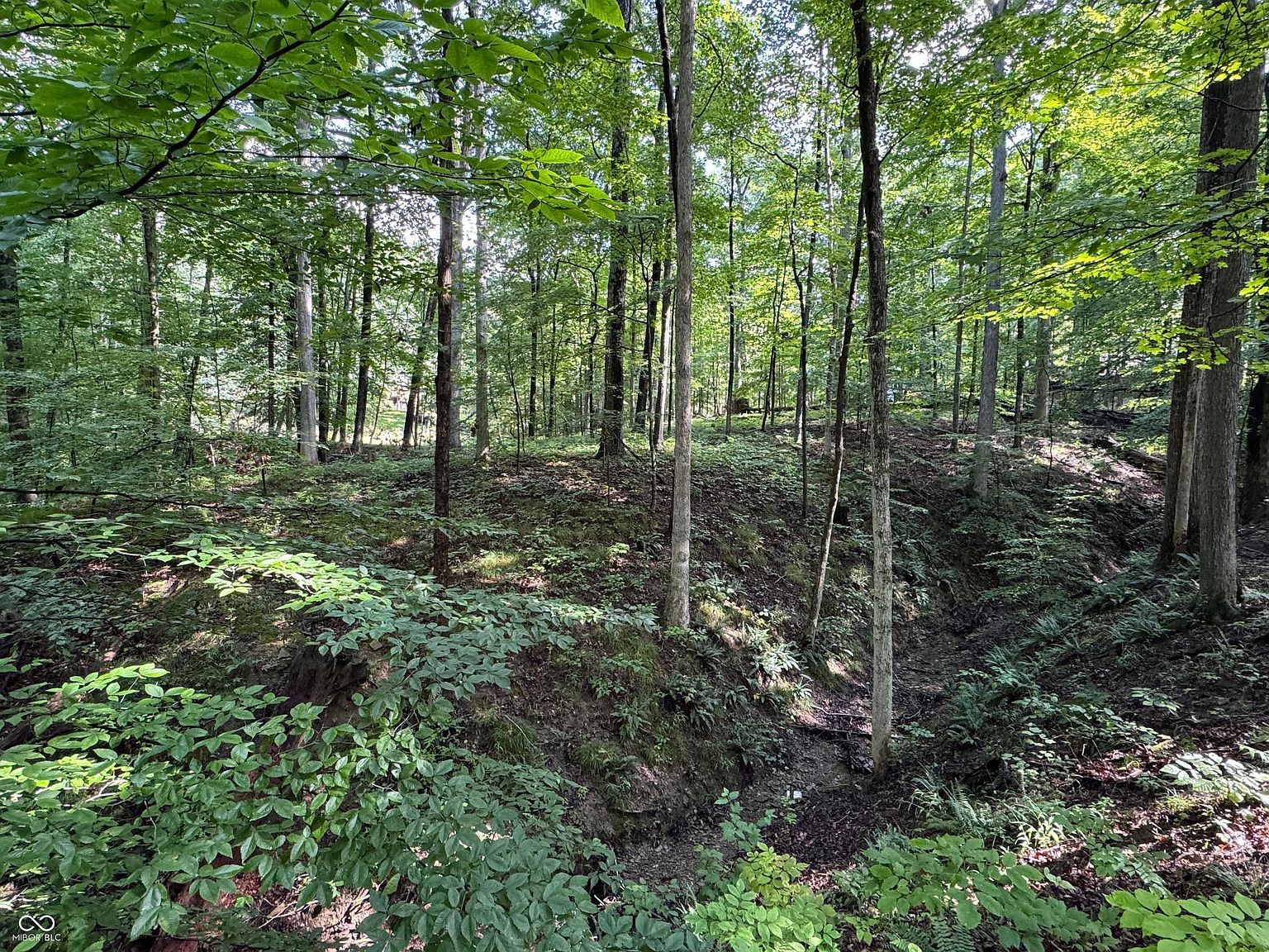 X Fox Ct Nineveh, IN 46164 - Thumbnail 4