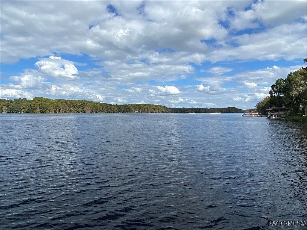 10597 & 10601 E Turtle Ln Floral City, FL 34436 - Thumbnail 4