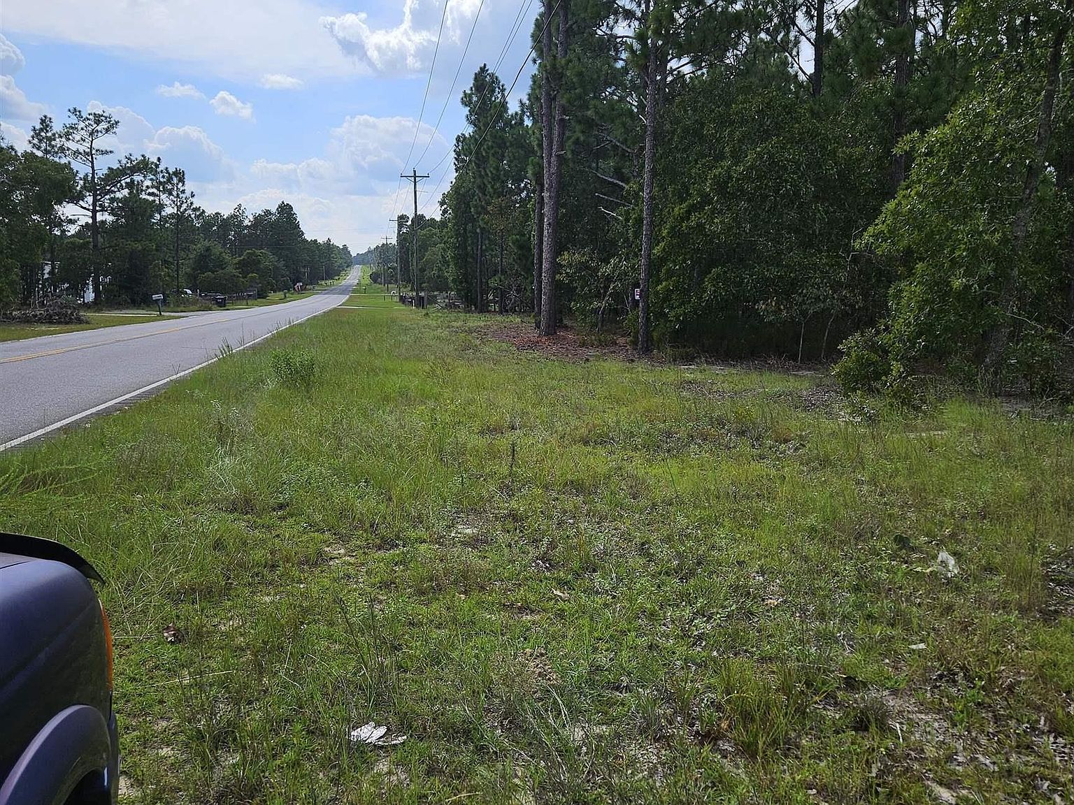 736 Bush Berry Rd Pelion, SC 29123 - Thumbnail 4