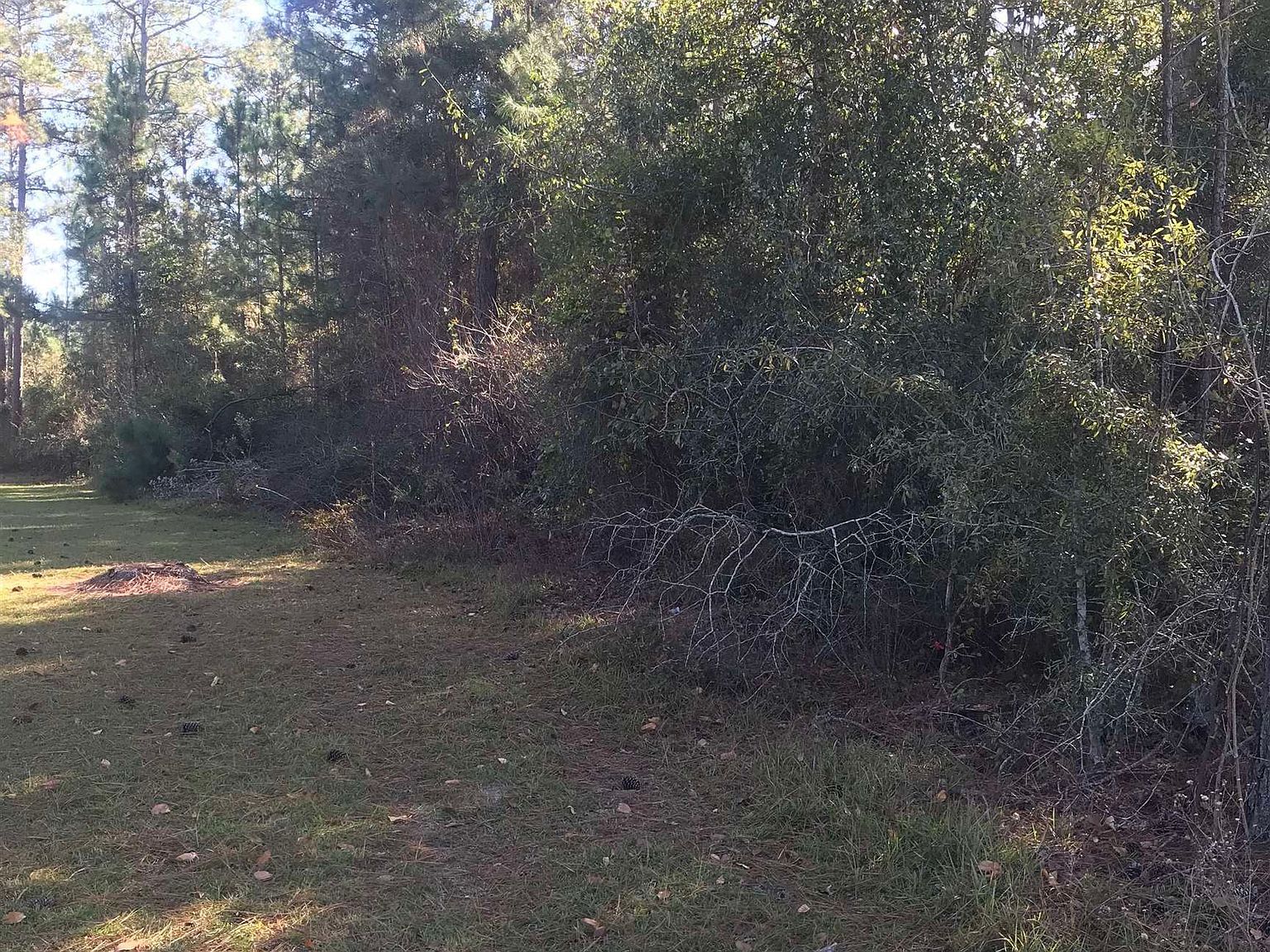 0 Eagles Nest Cir Eastman, GA 31023 - Thumbnail 4