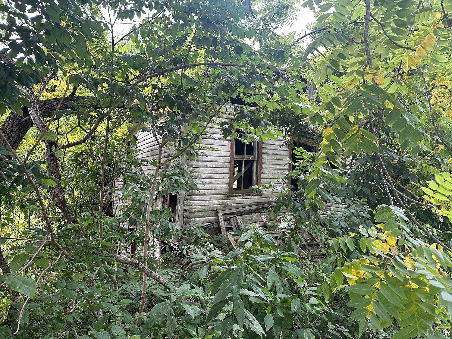 0 Lexington Tpke Amherst, VA 24521 - Thumbnail 4