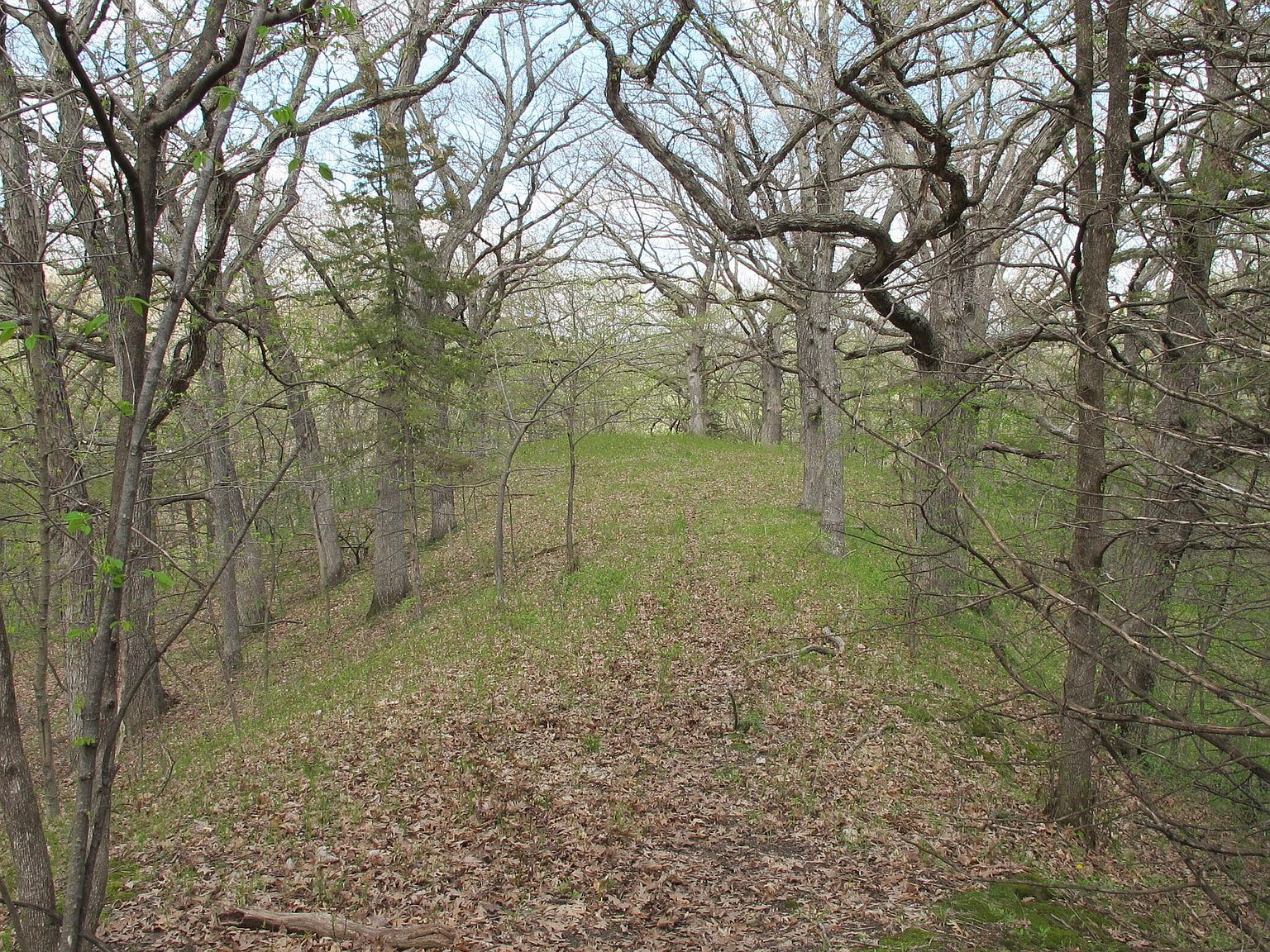 PARCEL W Centennial Dr #Q Huxley, IA 50124 - Thumbnail 4