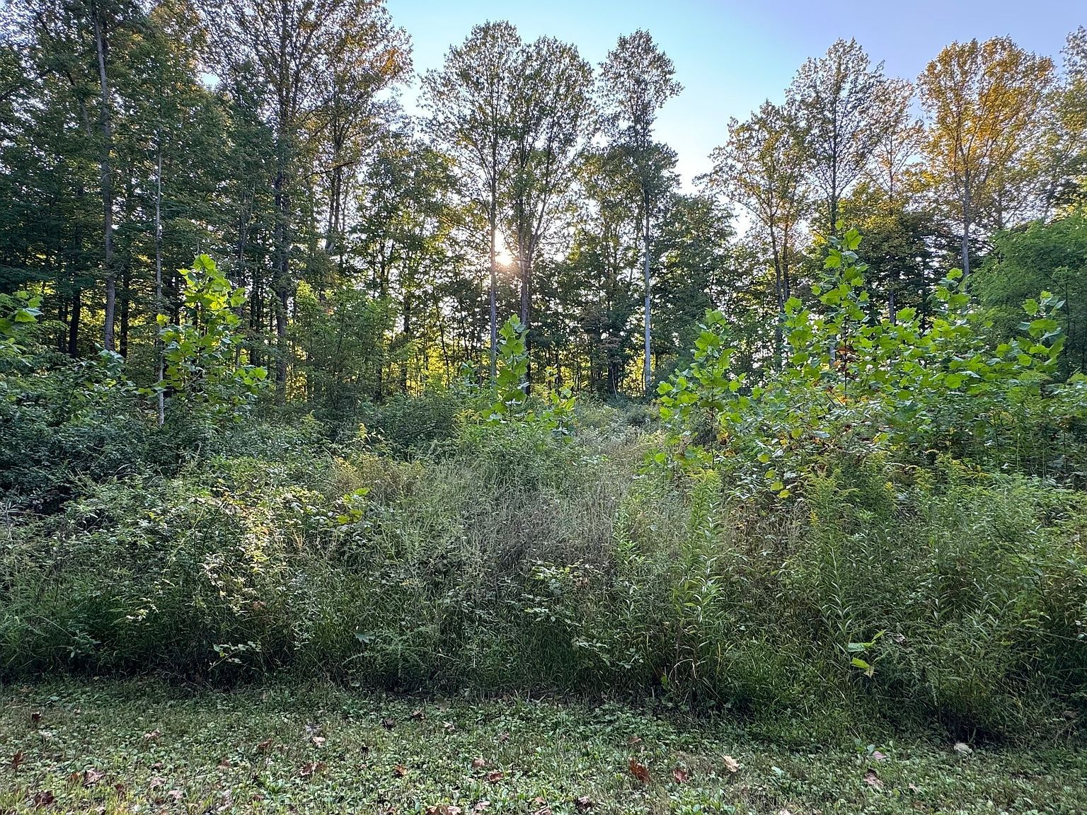 0 S Paradise Bay Blvd Rockville, IN 47872 - Thumbnail 4