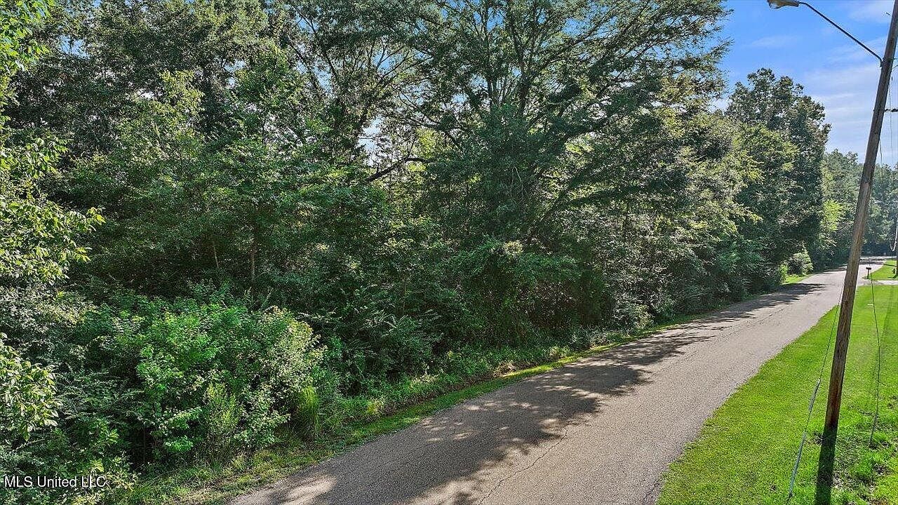 Castlewood Dr Clinton, MS 39056 - Thumbnail 4