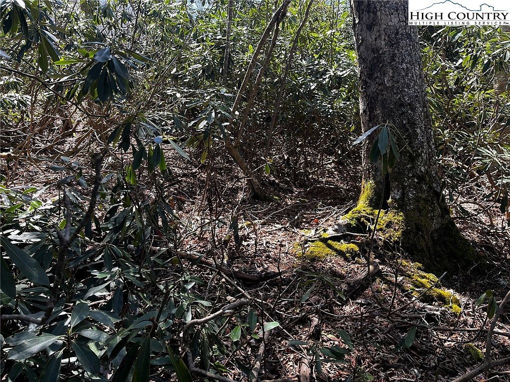 117 Wild Daisy Ln Banner Elk, NC 28604 - Thumbnail 4