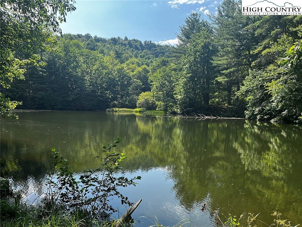 2836 Pine Swamp Rd Fleetwood, NC 28626 - Thumbnail 4