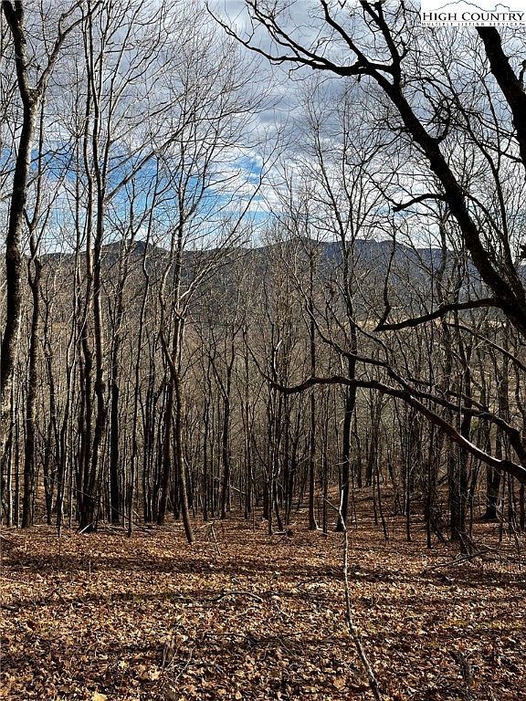 LOT 18 Wakeman Way Banner Elk, NC 28604 - Thumbnail 4