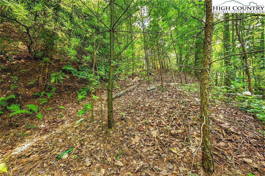 189 Marigold Rd Boone, NC 28607 - Thumbnail 4
