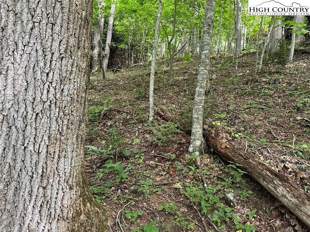 Boulder Gardens Rd Banner Elk, NC 28604 - Thumbnail 4