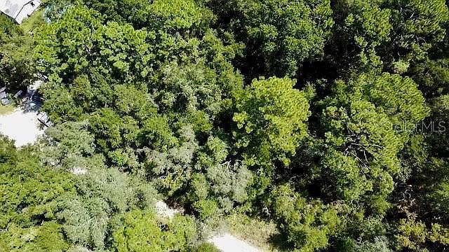 0 NE 138th Ter LOT 8 Williston, FL 32696 - Thumbnail 4