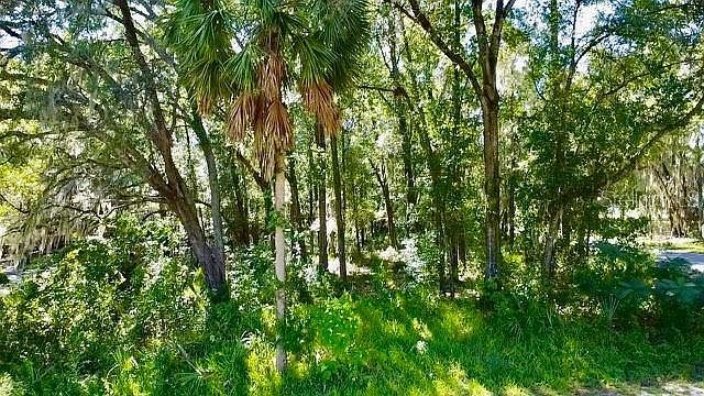 2790 NE 49th Ave LOT 1 Ocala, FL 34470 - Thumbnail 4