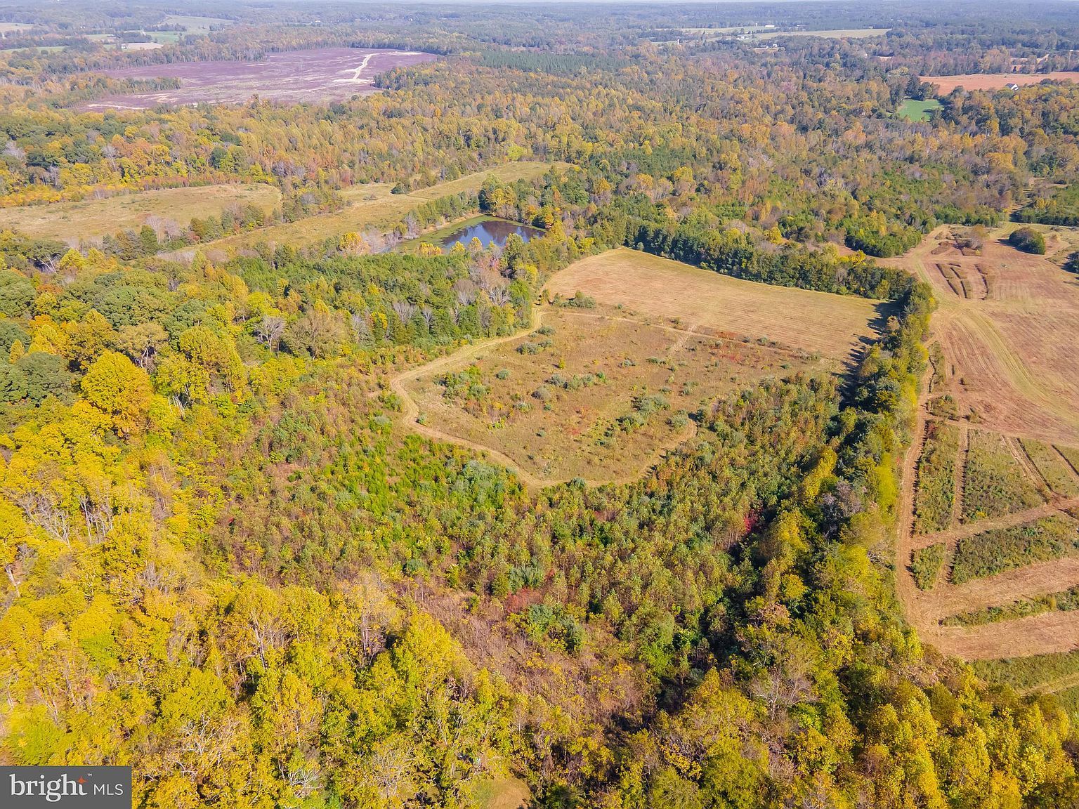 Hamilton Rd #695 Louisa, VA 23093 - Thumbnail 4