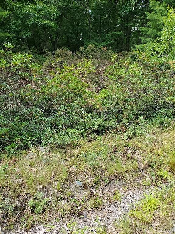 Kingsway Rock Hill, NY 12775 | Land/Lot