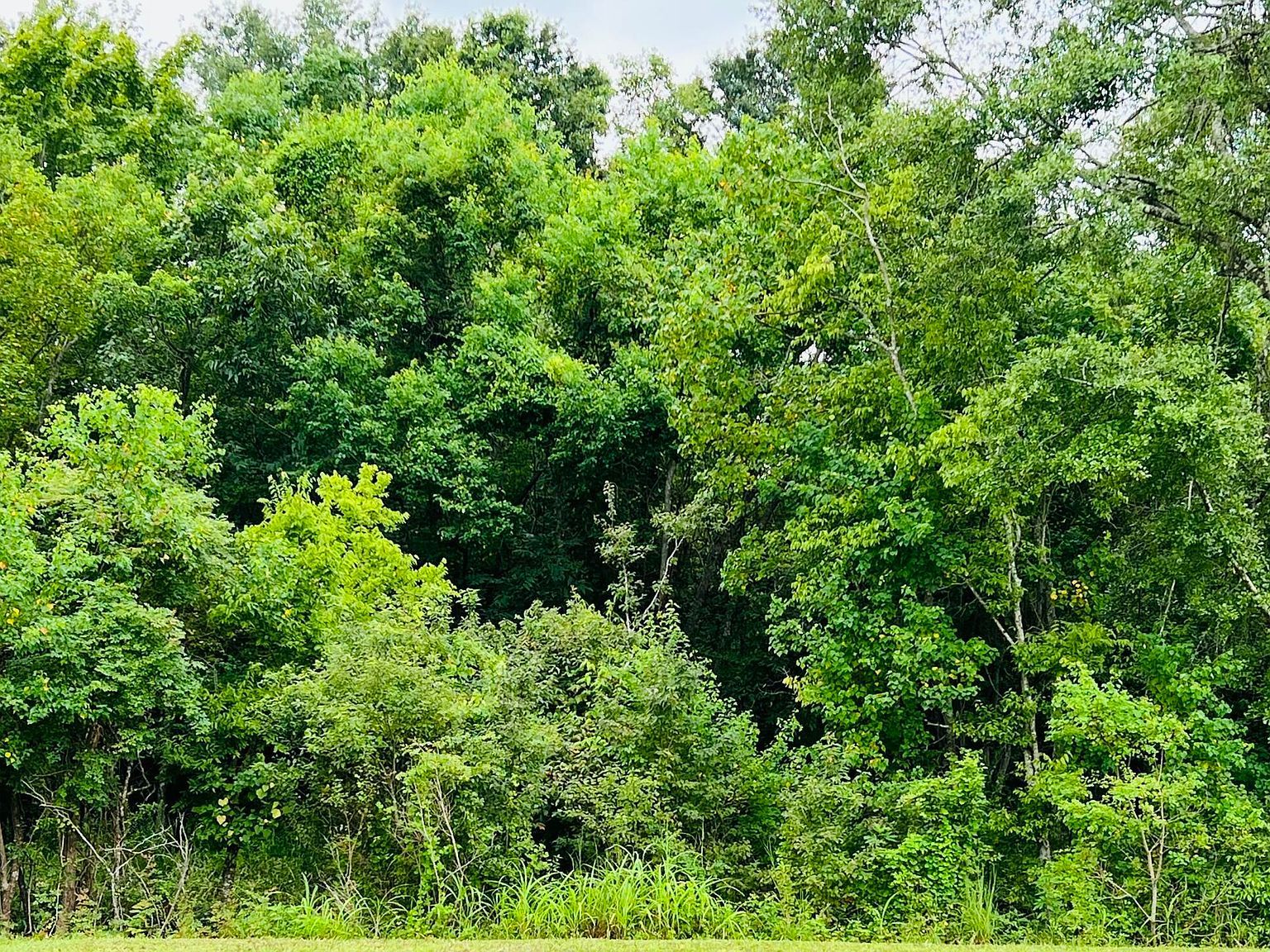 Lots 198 199 200 Pratt Dr Saint Martinville, LA 70582 | Land/Lot