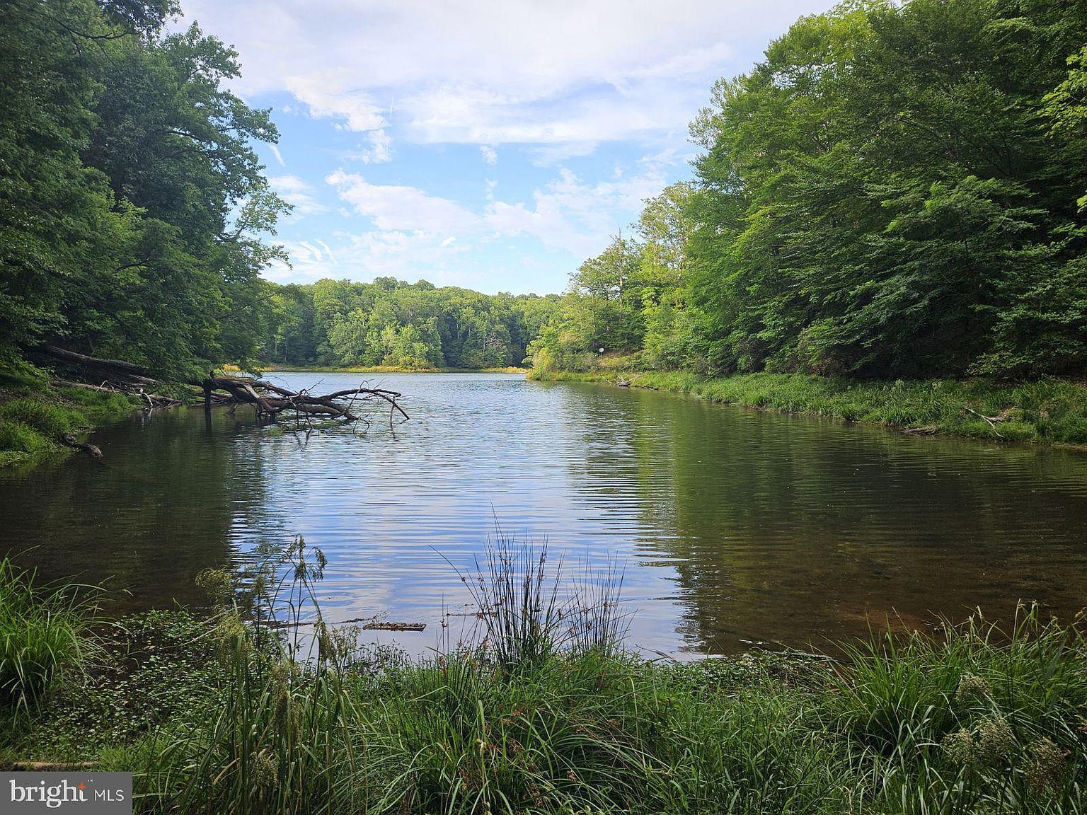 50 Lightfoot Dr Montross, VA 22520 - Thumbnail 4