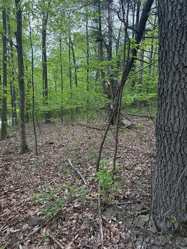 0 Orange Hill Rd Athens, PA 18810 - Thumbnail 4