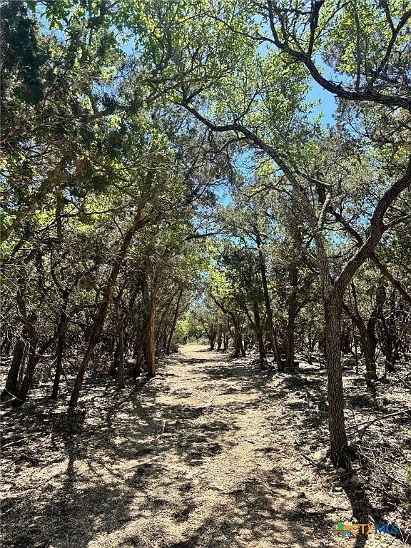 277 Gallagher Dr Canyon Lake, TX 78133 - Thumbnail 4