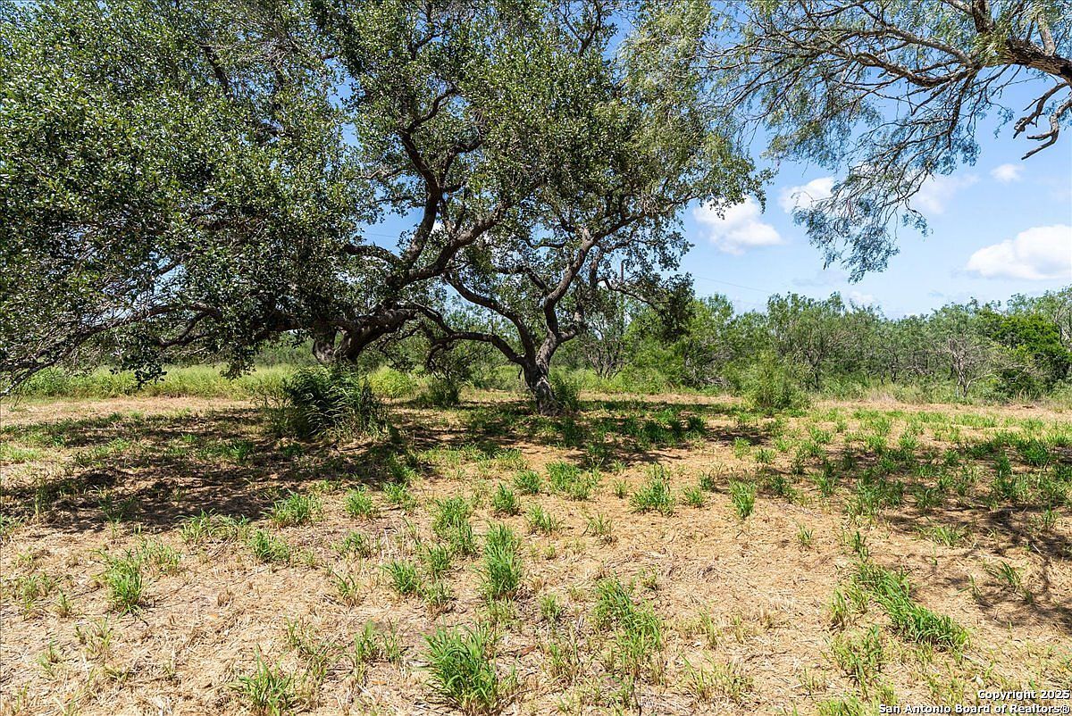 0 Off Hwy S #181-3 Skidmore, TX 78389 - Thumbnail 4