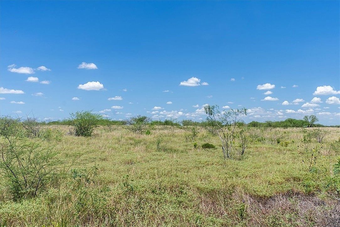 253 County Road 222 Orange Grove, TX 78372 - Thumbnail 4