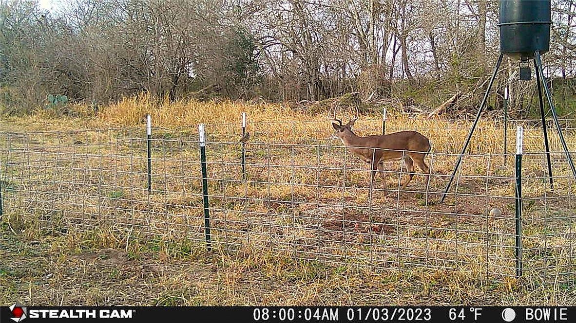 0 County Road 304 Jourdanton, TX 78026 - Thumbnail 4