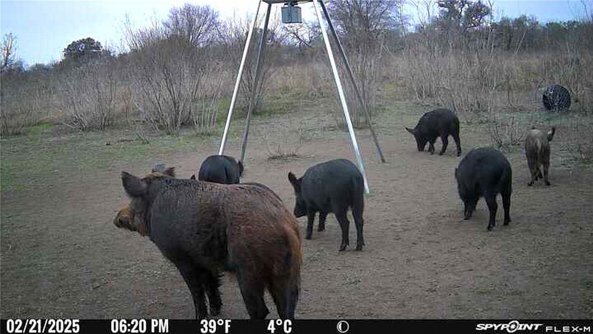 0 E King Ln Beeville, TX 78102 - Thumbnail 4