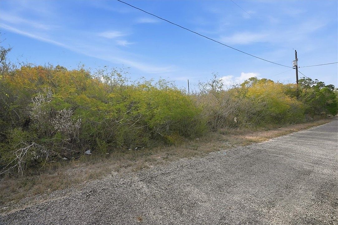 0 Huajilla Bend Rd Sandia, TX 78383 - Thumbnail 4