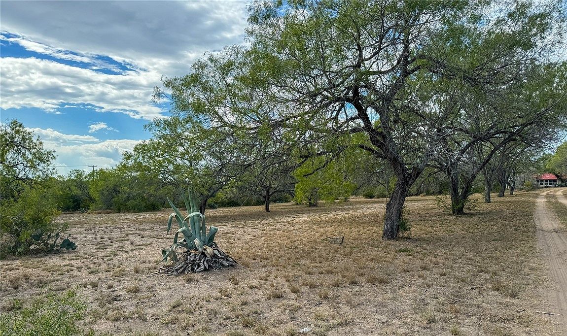 153 County Road 312 George West, TX 78022 - Thumbnail 4