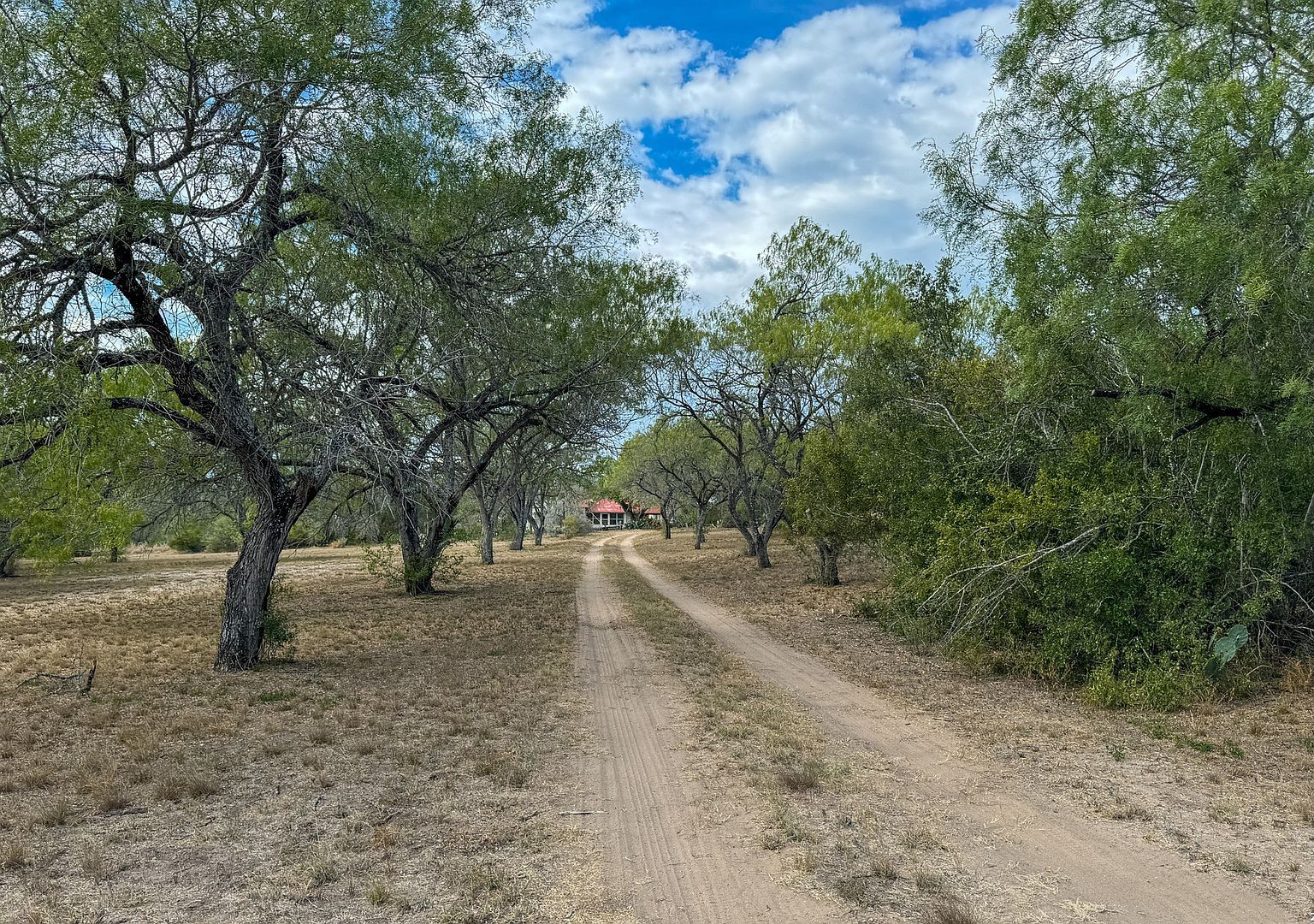 153 County Road 312 #3 George West, TX 78022 - Thumbnail 4