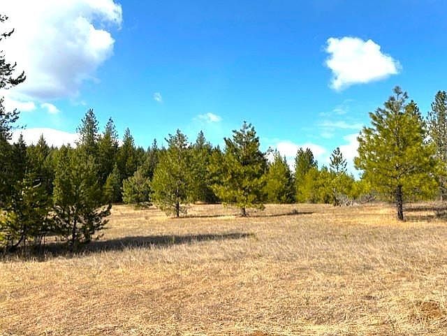 35XX Mountainview Rd Chewelah, WA 99109 - Thumbnail 4