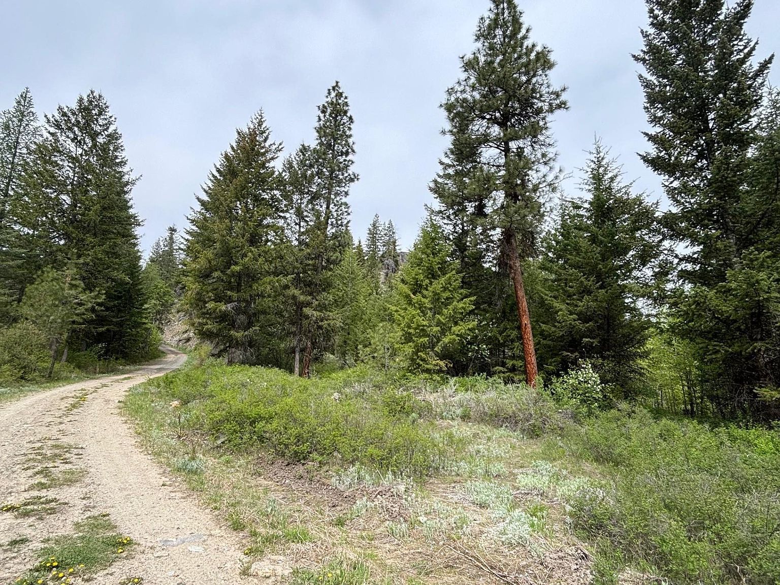 1XX Rocky Canyon Rd #3629220014 Tonasket, WA 98855 - Thumbnail 4