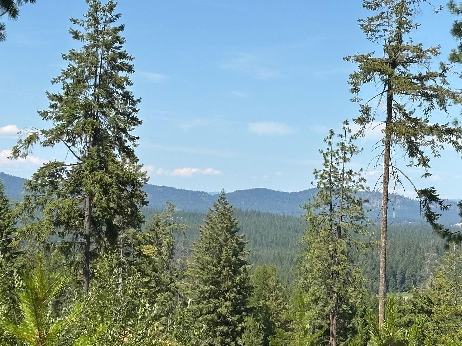 34711 N Waldrons Ln #49311.9012 Chattaroy, WA 99003 - Thumbnail 4