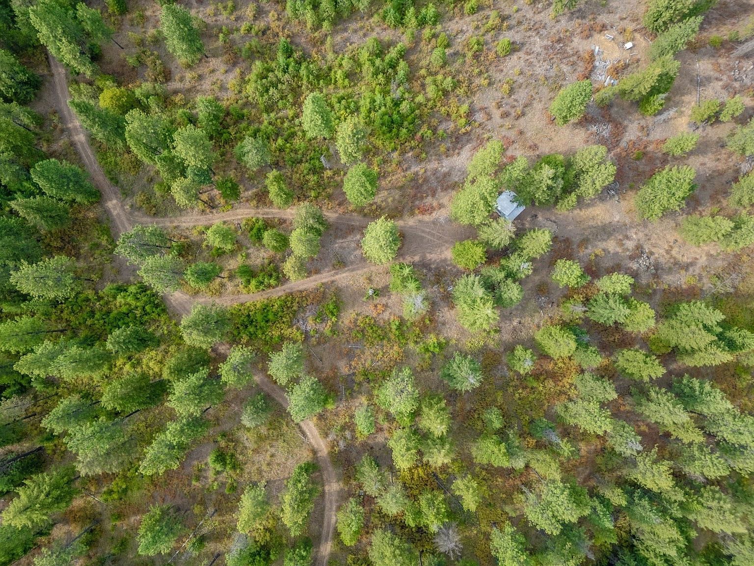 84XX E Lodge Pole Ln Chattaroy, WA 99003 - Thumbnail 4