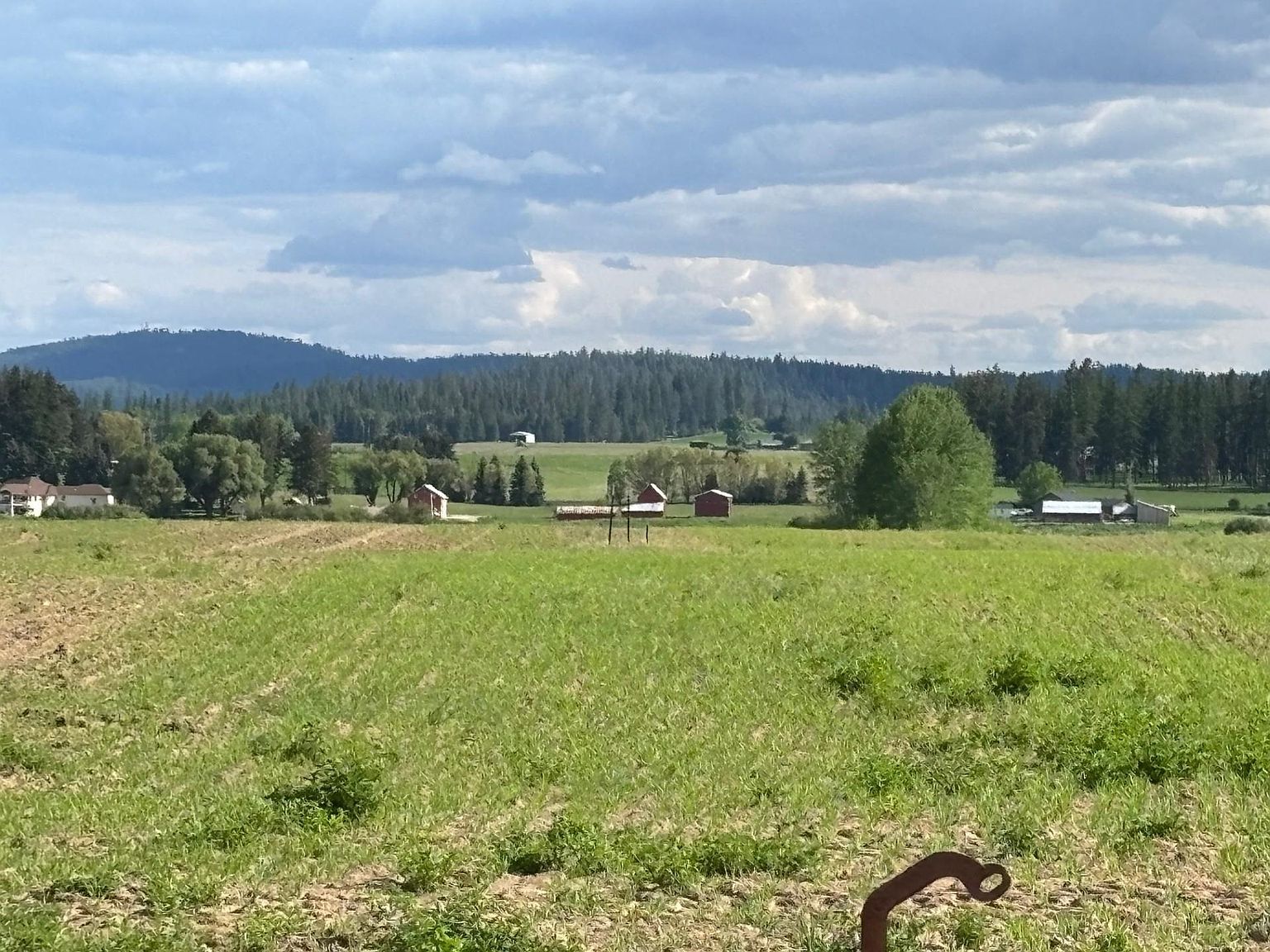 46XX Bittrich Antler Rd Deer Park, WA 99006 - Thumbnail 4